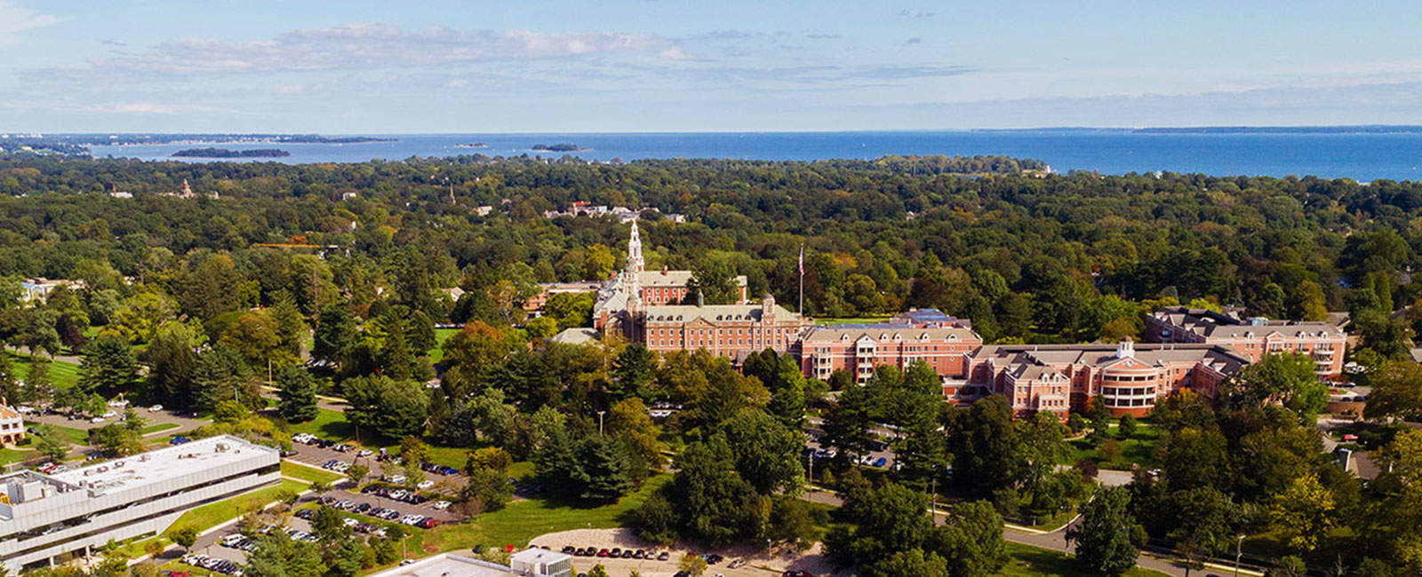 Purchase, NY skyline.