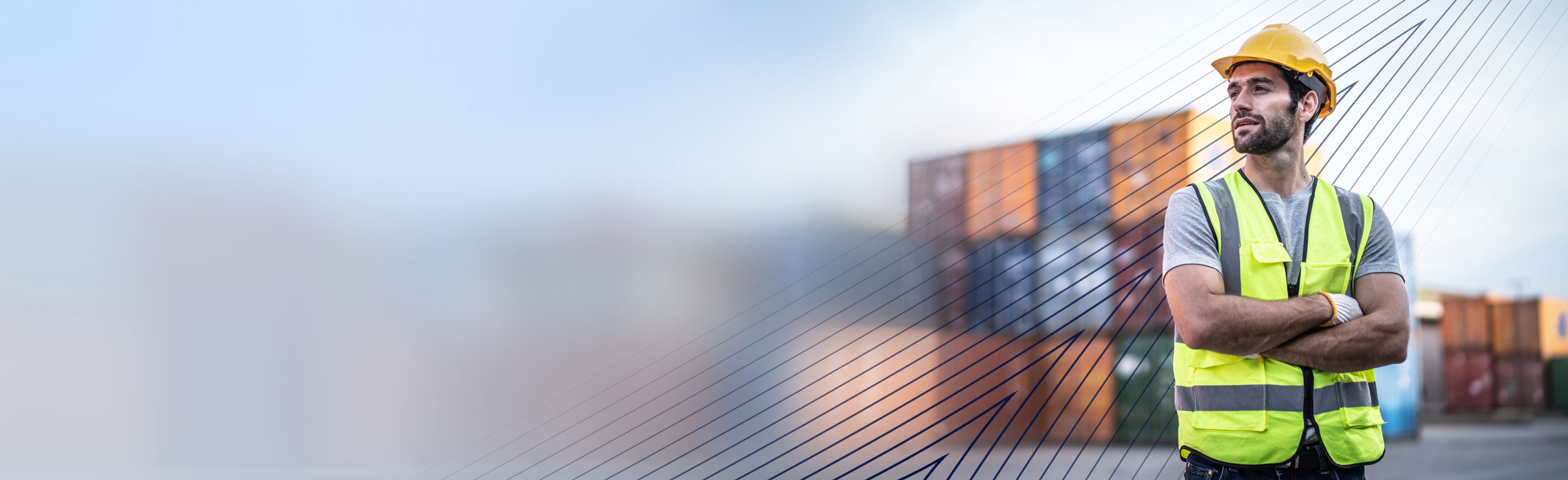 services-advisory-risk-management-compliance-trade-disputes-compliance-antidumping-and-countervailing-duty-investigations-header-1