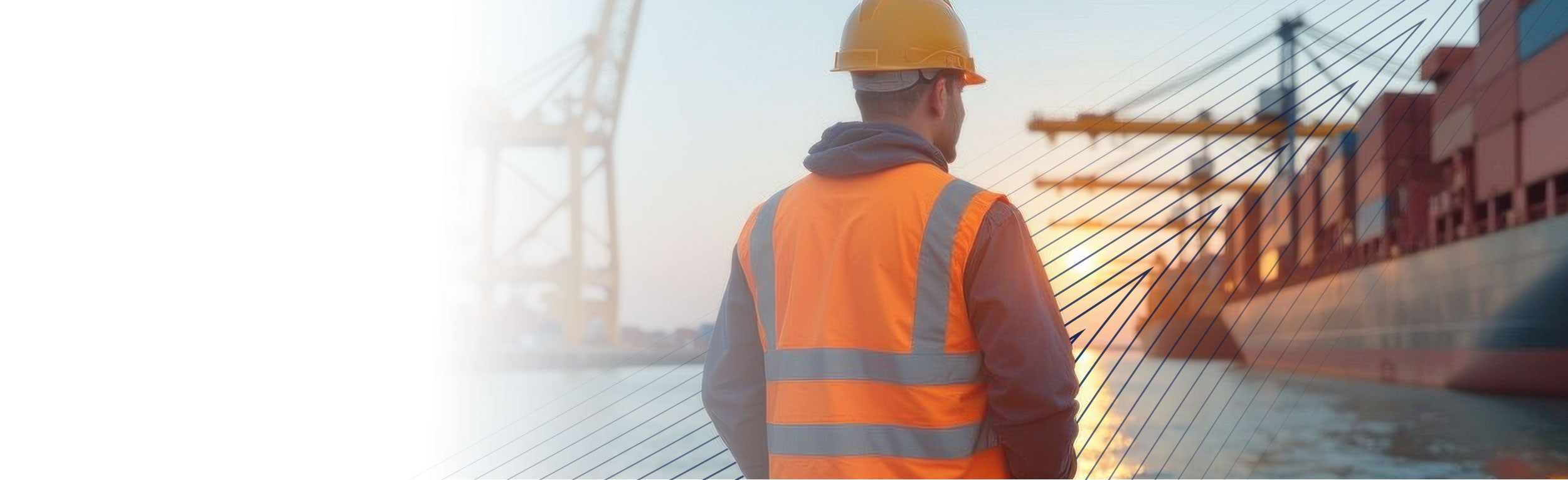 services-advisory-tariff-solutions-header