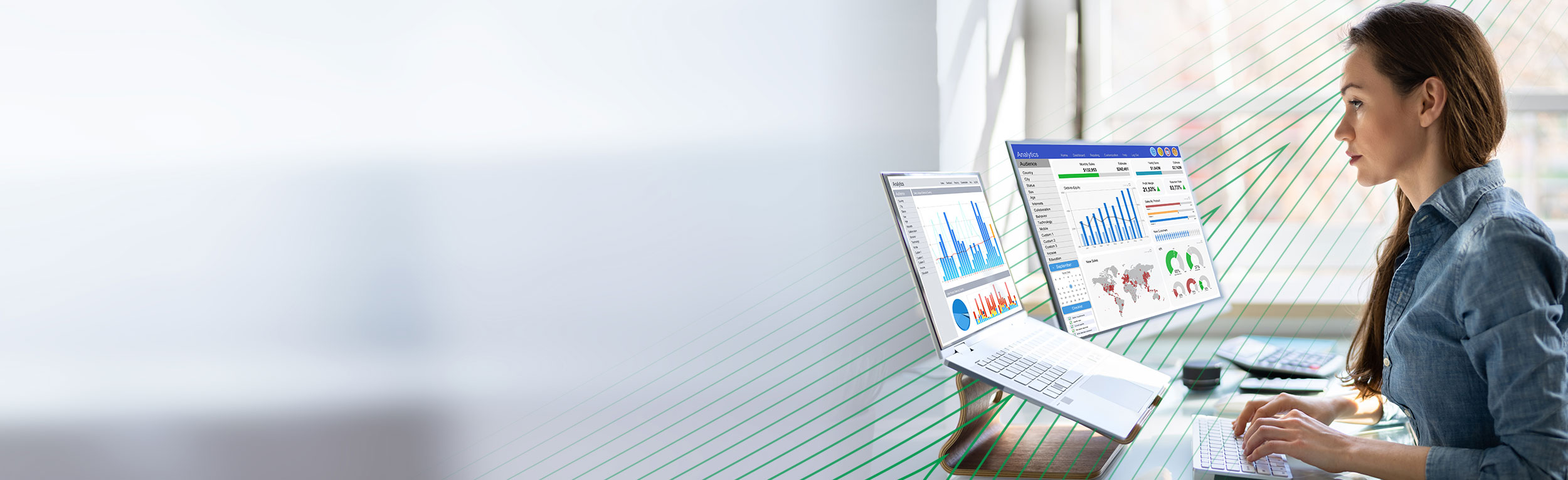 services-private-equity-advisory-performence-enhencement-performance-reporting-and-bi-solutions-header-1