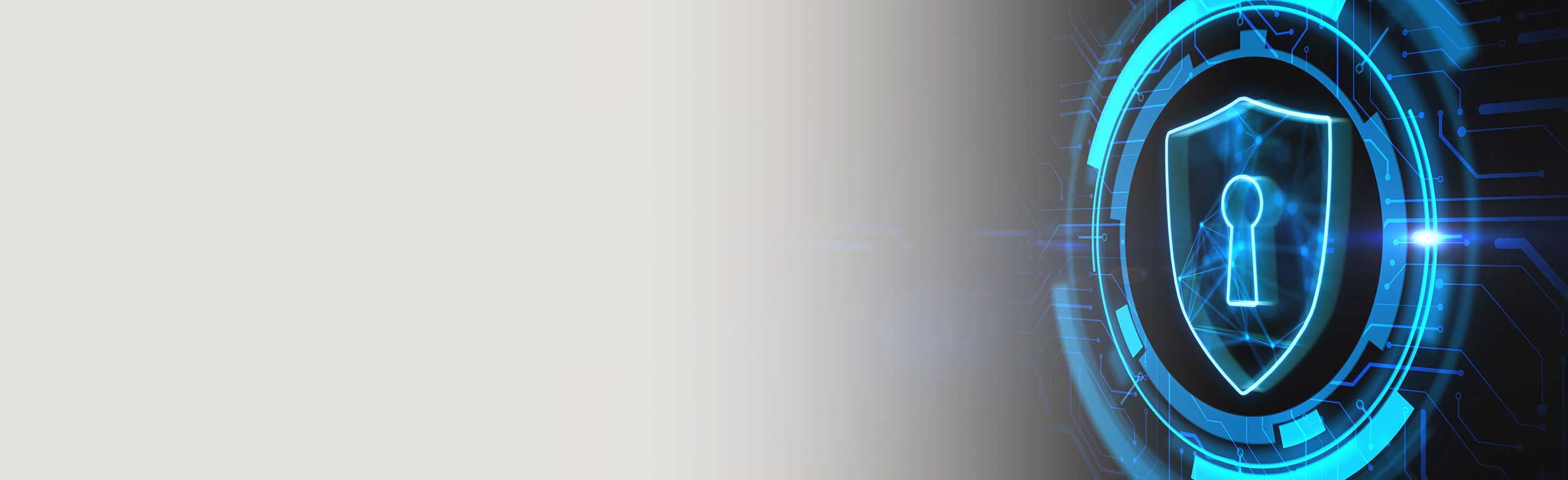 services-technology-secure-cyber-due-diligence-header-1